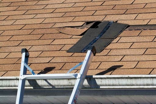 roof-damage-slipped-shingles Tampa, FL