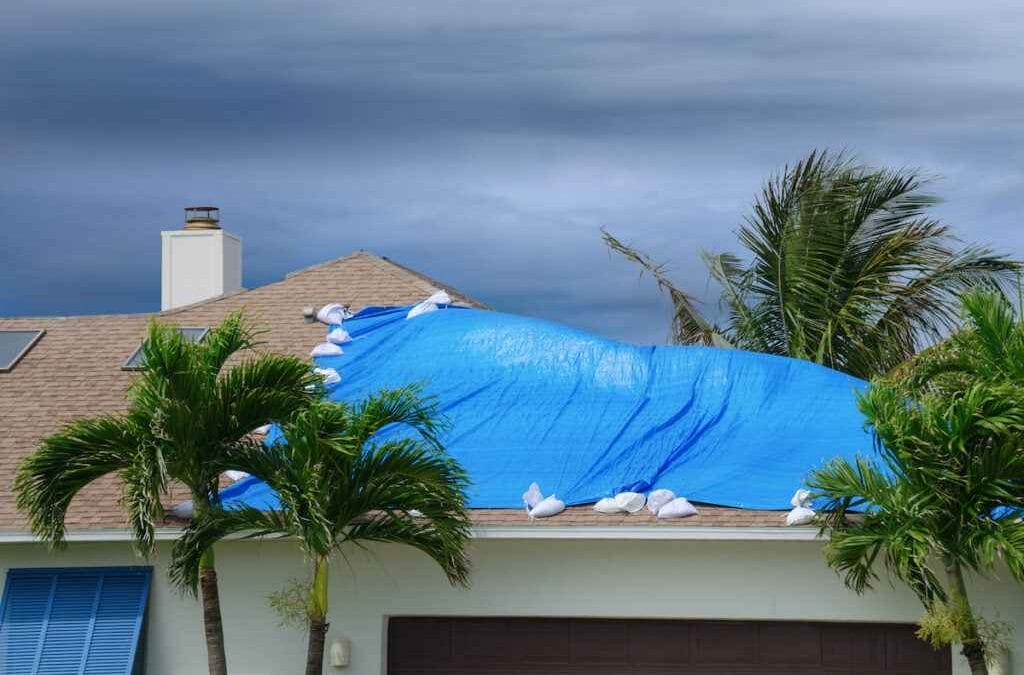 roof tarping Tampa, FL
