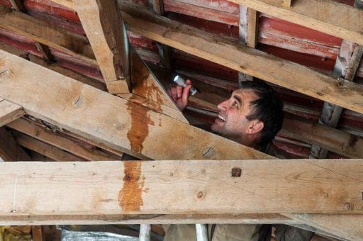 Man-inspecting-leak-in-attic Tampa, FL