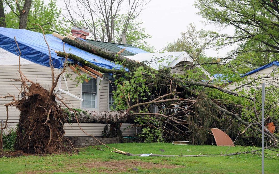 Hurricane Idalia, hurricane damage, roof damage repair, Tampa